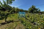 Plac, Jagodina, prodaja, 0m2, 14900e, id1354989