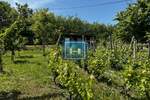 Plac, Jagodina, prodaja, 0m2, 14900e, id1354989