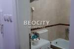Dvosoban stan, Novi Sad, Železnička Stanica, izdavanje, 30m2, 300e, id1404878