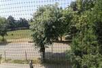 Trosoban stan, Beograd, Opstina, izdavanje, 70m2, 600e, id1404902