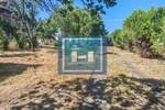 Kuca, Paraćin, Tekija, prodaja, 240m2, 75000e, id1405420