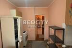 Jednosoban stan, Novi Sad, Detelinara, izdavanje, 30m2, 250e, id1405470