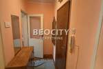 Jednosoban stan, Novi Sad, Detelinara, izdavanje, 30m2, 250e, id1405470