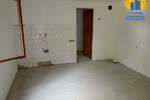 Kuca, Beograd, Koraćica, prodaja, 424m2, 47000e, id1405475