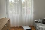 Dvoiposoban stan, Niš, izdavanje, 60m2, 450e, id1406005