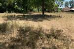 Plac, Beograd, prodaja, 4730m2, 25000e, id1406397