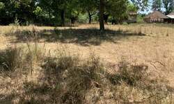 Plac, Beograd, prodaja, 4730m2, 25000e, id1406397
