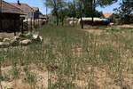 Plac, Beograd, prodaja, 4730m2, 25000e, id1406397