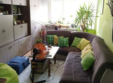 Jednosoban stan, Niš, Palilula, izdavanje, 43m2, 300e, id1214577