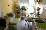 Jednosoban stan, Niš, Palilula, izdavanje, 43m2, 300e, id1214577