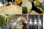 Kuca, Pančevo, gornji grad, prodaja, 120m2, 138000e, id1406906
