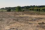 Plac, Beograd, Mirjevo, prodaja, 7200m2, 1250000e, id1406909