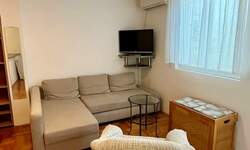Jednosoban stan, Beograd, Hadzipopovac, izdavanje, 30m2, 450e, id1406910