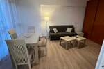 Jednoiposoban stan, Beograd, Hala Pionir, izdavanje, 47m2, 700e, id1406913
