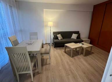 Jednoiposoban stan, Beograd, Hala Pionir, izdavanje, 47m2, 700e, id1406913