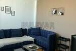 Jednosoban stan, Niš, Park Svetog Save, izdavanje, 34m2, 250e, id1406924