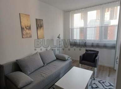 Jednoiposoban stan, Niš, Apelovac, izdavanje, 36m2, 330e, id1248178