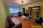 Jednoiposoban stan, Beograd, Bežanijska Kosa, prodaja, 43m2, 150000e, id1406940