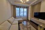 Dvosoban stan, Beograd, Južni bulevar, izdavanje, 40m2, 750e, id1406969