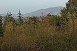 Plac, Beograd, Ripanj, prodaja, 0m2, 115000e, id1275889