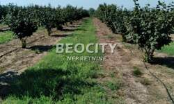 Plac, Pančevo, prodaja, 38500m2, 220000e, id1407249