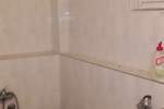 Poslovni prostor / Lokal, Beograd, Mladenovac, prodaja, 250m2, 148000e, id1407520