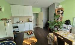 Garsonjera, Jagodina, prodaja, 29m2, 32000e, id1407585