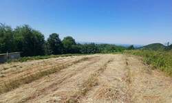 Plac, Jagodina, prodaja, 0m2, 24500e, id1407615