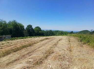 Plac, Jagodina, prodaja, 0m2, 24500e, id1407615