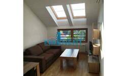 Dvosoban stan, Beograd, Zelena Avenija, izdavanje, 42m2, 550e, id1407659