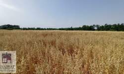 Plac, Beograd, Konatice, prodaja, 0m2, 9000e, id1408178