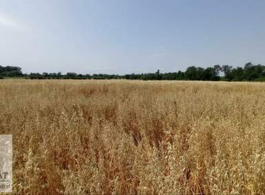 Plac, Beograd, Konatice, prodaja, 0m2, 9000e, id1408178