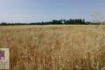 Plac, Beograd, Konatice, prodaja, 0m2, 9000e, id1408178