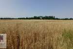 Plac, Beograd, Konatice, prodaja, 0m2, 9000e, id1408178