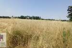 Plac, Beograd, Konatice, prodaja, 0m2, 9000e, id1408178