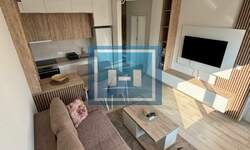 Dvosoban stan, Paraćin, izdavanje, 37m2, 250e, id1408180