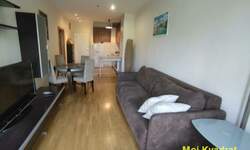 Dvosoban stan, Beograd, FON, izdavanje, 46m2, 650e, id1407565