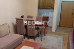 Dvosoban stan, Novi Sad, Grbavica, izdavanje, 36m2, 400e, id1408235