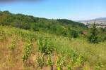 Plac, Niš, Trošarina, prodaja, 703m2, 35000e, id1409249