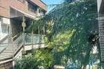 Dvosoban stan, Beograd, Hram Sv. Save, izdavanje, 50m2, 600e, id1384790