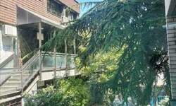Dvosoban stan, Beograd, Hram Sv. Save, izdavanje, 50m2, 600e, id1384790
