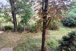 Jednosoban stan, Niš, Apelovac, izdavanje, 41m2, 230e, id1409817