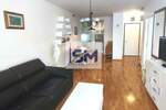 Dvosoban stan, Beograd, Crveni Krst, izdavanje, 62m2, 550e, id1409822