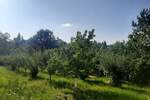 Vikendica, Beograd, Brestovnik, prodaja, 40m2, 22000e, id1410940