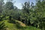 Vikendica, Beograd, Brestovnik, prodaja, 40m2, 22000e, id1410940
