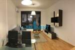 Dvosoban stan, Beograd, Fon, izdavanje, 48m2, 600e, id1317809