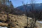 Plac, Knjaževac, prodaja, 13000m2, 400000e, id1411445