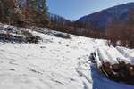Plac, Knjaževac, prodaja, 13000m2, 400000e, id1411445