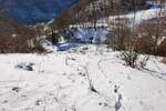 Plac, Knjaževac, prodaja, 13000m2, 400000e, id1411445