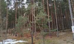 Plac, Zlatibor, prodaja, 1143m2, 45720e, id1411446